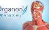 Oculus Quest 游戏《3D Organon VR Anatomy 2021》3D Organon VR 人体解剖学