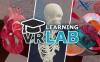 Oculus Quest 游戏《解剖实验室》VR Anatomy Lab